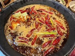 -阳阳老火锅(小南门店)