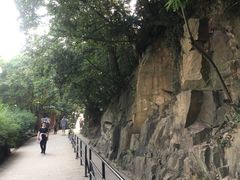 -上海佘山国家森林公园西佘山园