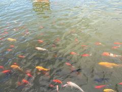 -西宁市人民公园(城西区)