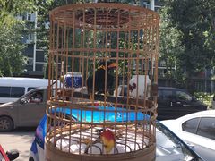 -宛平李记小吃(东关街店)