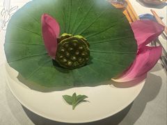 -叶叶菩提(太原别墅店)