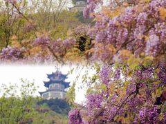 -苏州冶园园林民宿(太湖西山风景区店)