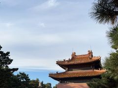 -北陵公园