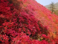 -木兰云雾山