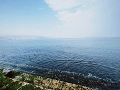 -悦海公园