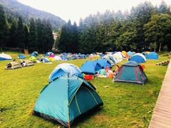 -武陵山森林公园