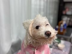 -爱派特动物医院·全科诊疗中心