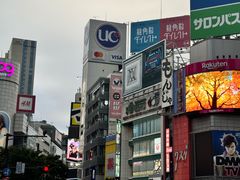 -涩谷全向十字路口