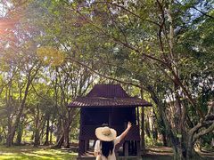 -东南花都花博园