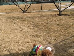-悦宠动物医院(京丰分院)