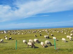 -青海湖国家重点风景名胜区