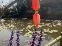 -广州莲花山旅游区