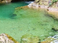 -南海湾森林生态园