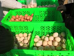 -何庄子阿米玛玛农产品批发市场
