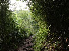-井空里大峡谷