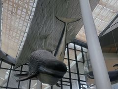 -中国（海南）南海博物馆