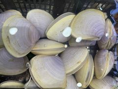 -吉莲利苑海鲜酒家(珠海拱北28年老字号店)