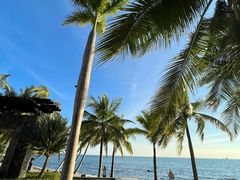 -日落吧·海景咖啡厅·餐酒吧·鸡尾酒·下午茶·乐队表演·浪漫夕阳·三亚文华东方酒店