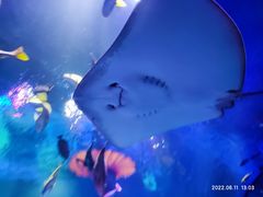 -沈阳海洋探索中心