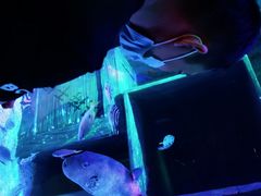 -沈阳海洋探索中心