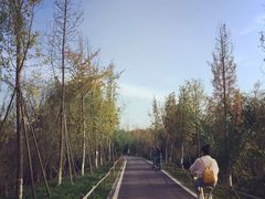 -白鹭湾湿地公园