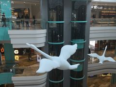 -大族广场Mall&More