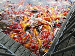 -泰安地下龙宫景区