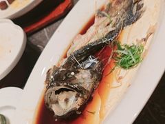 -同庆楼(滨湖万达广场店)