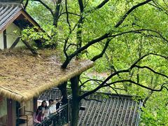 -巴倒烫陆派火锅山庄(南山总店)