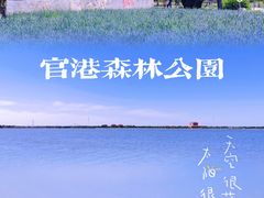 -官港森林公园