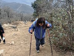 -湖州龙王山景区