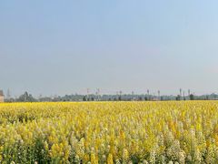 -中国天府农业博览园