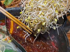 -阳阳老火锅(小南门店)