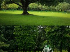 -荔香公园