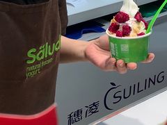 -Salud撒露欧洲冻酸奶(蓝色港湾店)