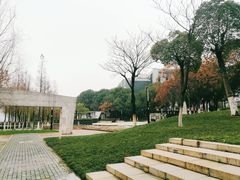 -月湖风景区