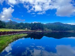 -海南热带雨林国家公园吊罗山景区