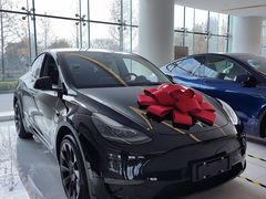 -天猫养车贴膜轻改·蓝电(优匹康桥东路店)