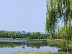 -北坞公园