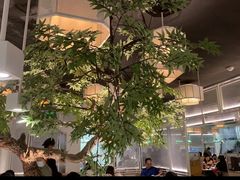 -绿茶餐厅(广州天河城店)