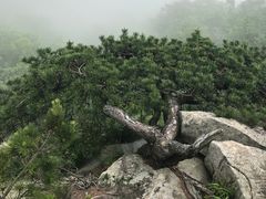 -罗田薄刀峰风景区