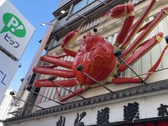 -蟹道乐(道顿堀本店)
