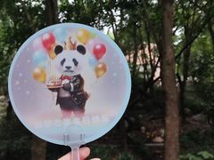 -成都大熊猫繁育研究基地