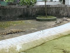 -三水森林公园