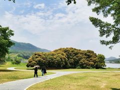-风云岭森林公园
