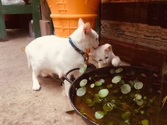 -前童古镇