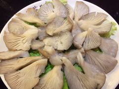 -芦月轩羊蝎子(太平桥店)