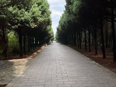 -秦始皇帝陵博物院-丽山园