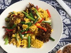 -翕庐小苑