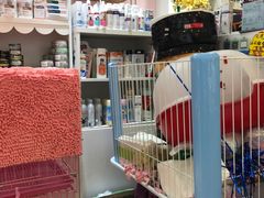 -宠伴小精灵宠物店(鼓楼店)